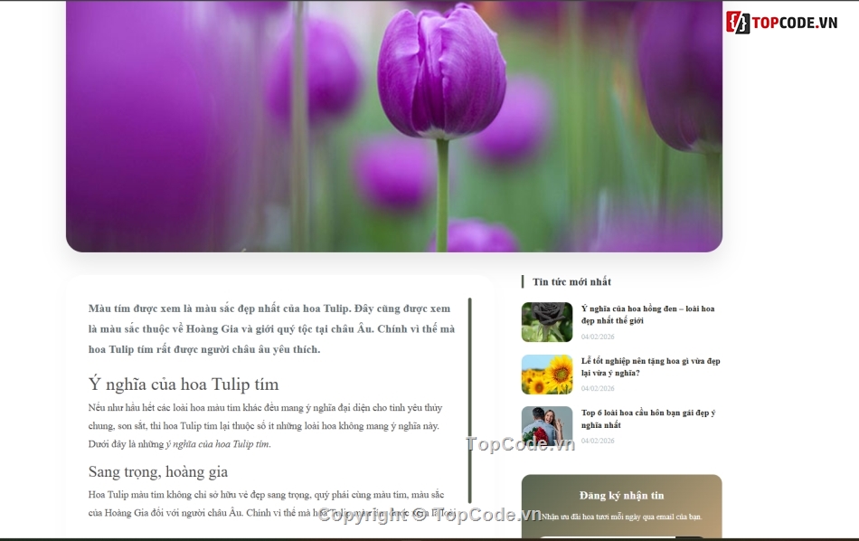 bán hoa,hoa tươi,web